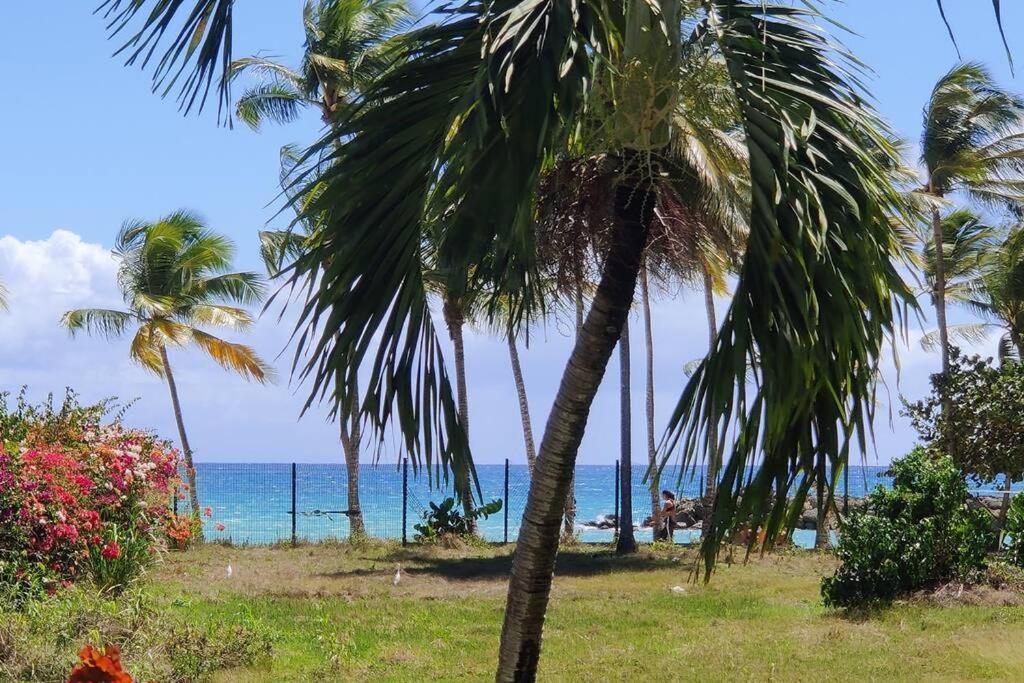 Parfum Des Iles - Vue Mer, Plage A 30M Et Piscine En Option Le Gosier  Luaran gambar