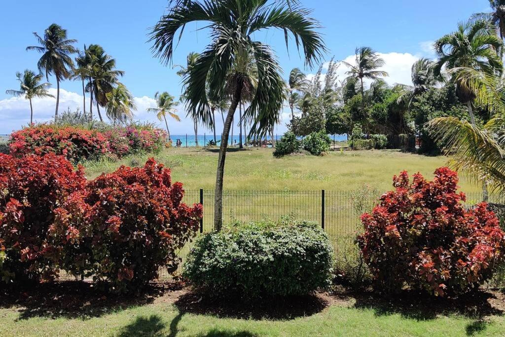 Parfum Des Iles - Vue Mer, Plage A 30M Et Piscine En Option Le Gosier  Luaran gambar