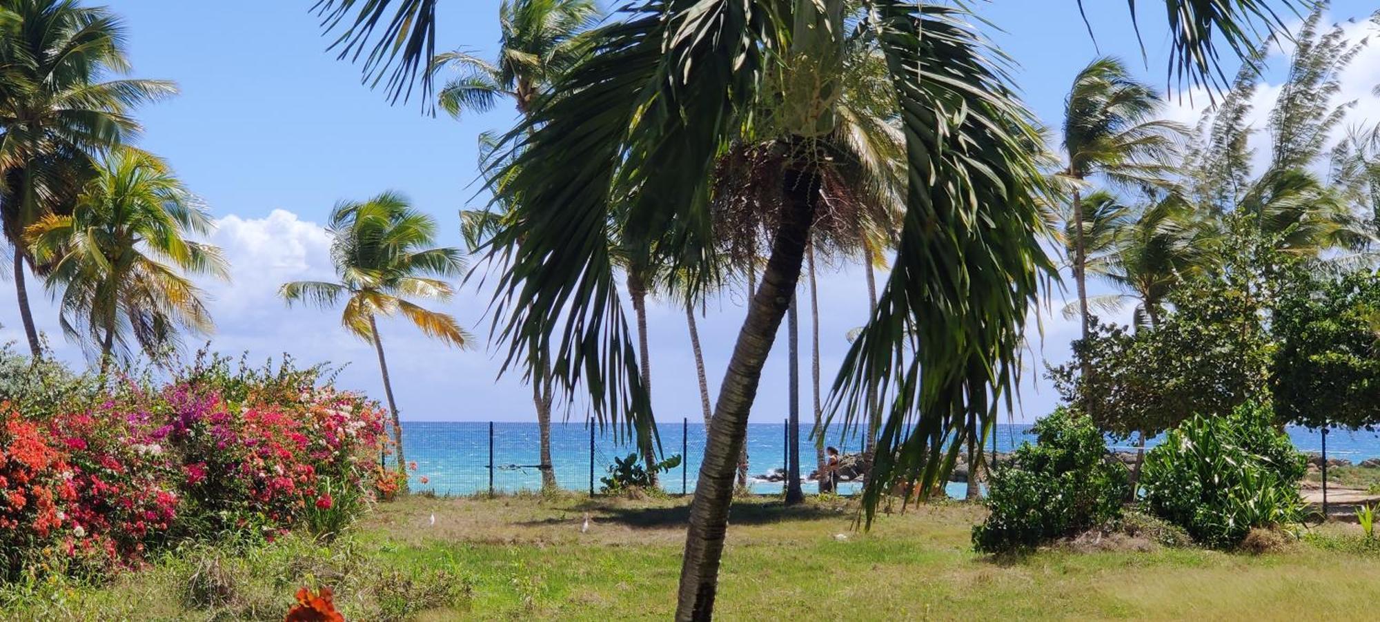 Parfum Des Iles - Vue Mer, Plage A 30M Et Piscine En Option Le Gosier  Luaran gambar