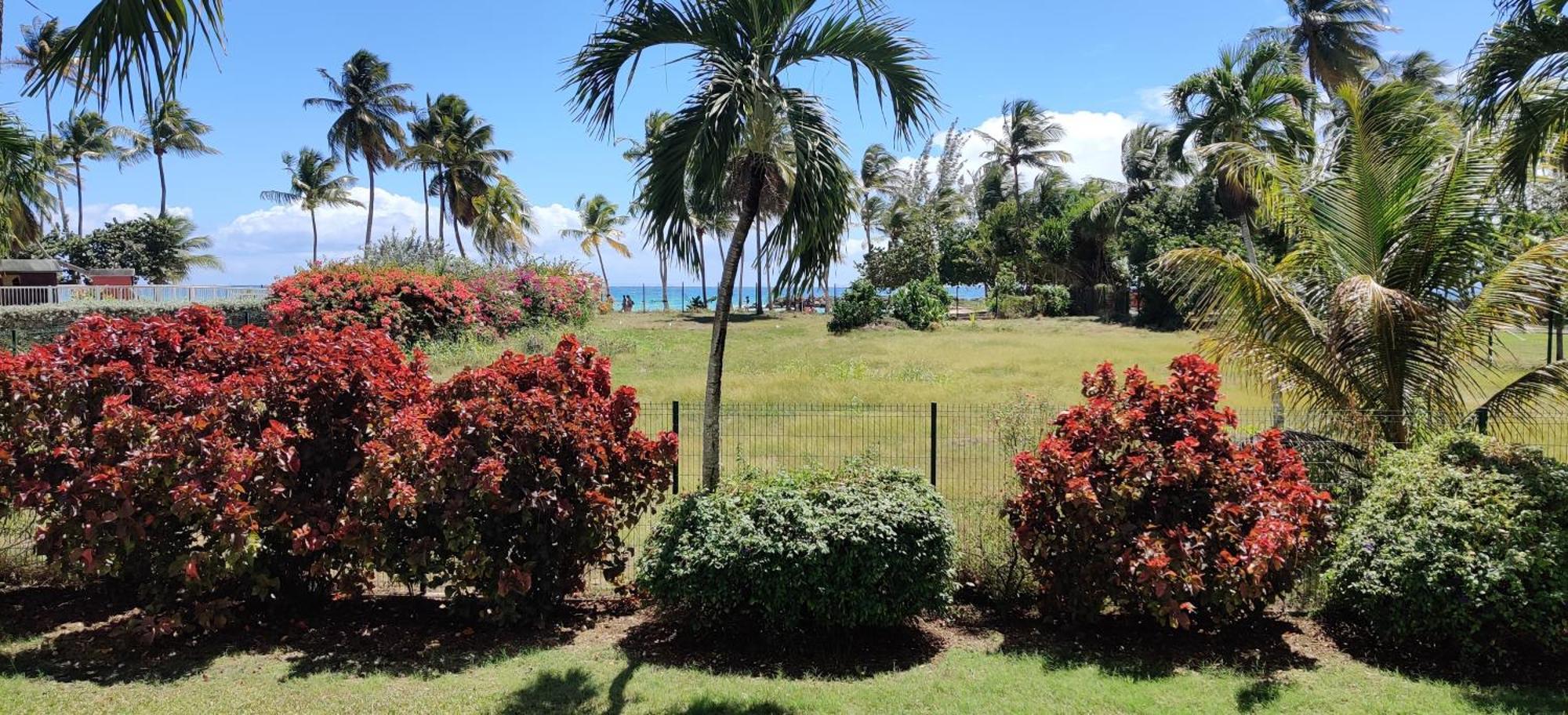 Parfum Des Iles - Vue Mer, Plage A 30M Et Piscine En Option Le Gosier  Luaran gambar
